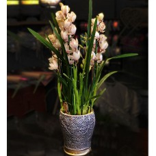 atasehircicek.net  pembe siptyum ORKİDE ÇİÇEK