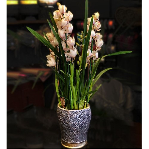 atasehircicek.net  pembe siptyum ORKİDE ÇİÇEK